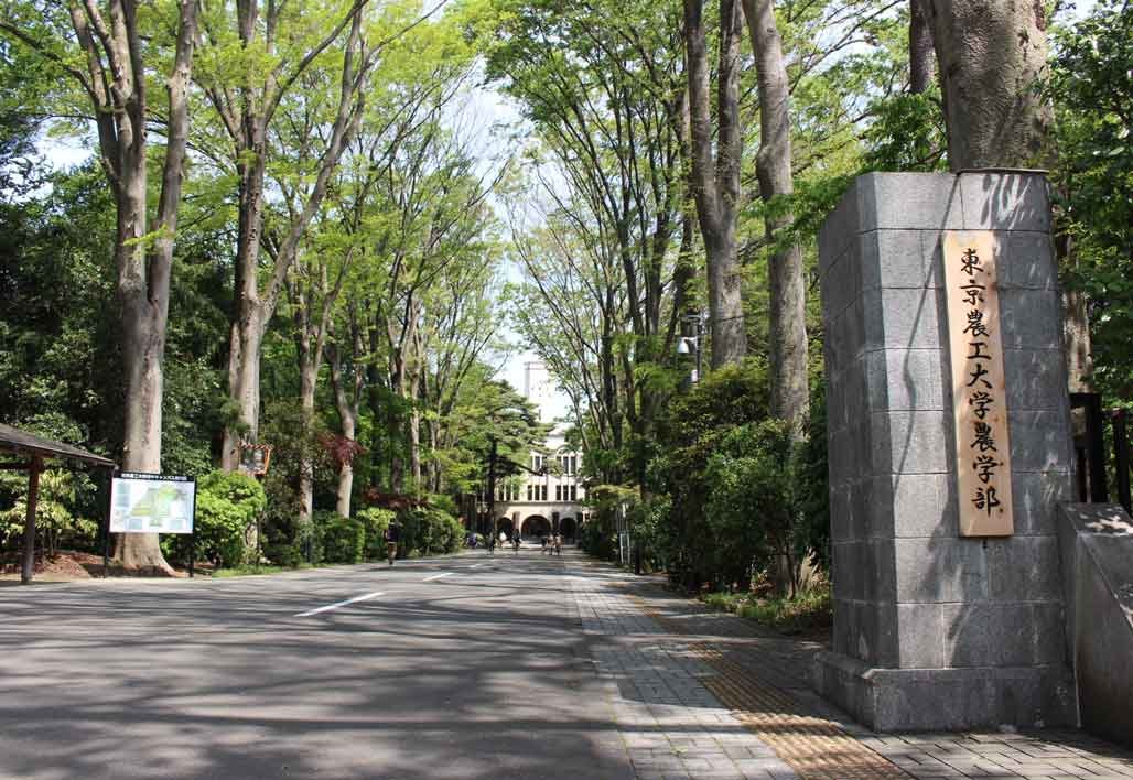 国立大学法人 東京農工大学様：イメージ画像
