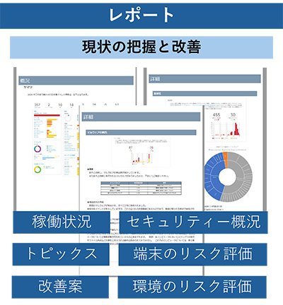 レポート内容