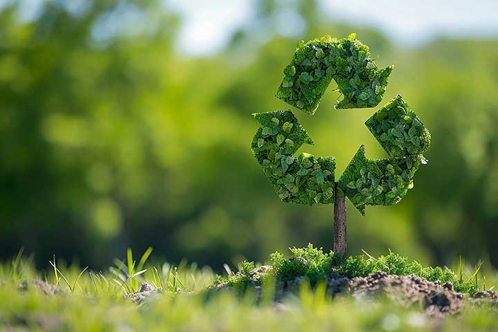 green-pay_sum.jpg